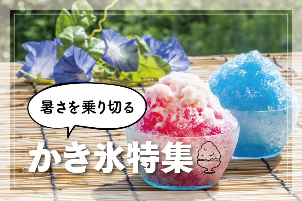 特集サムネイル
