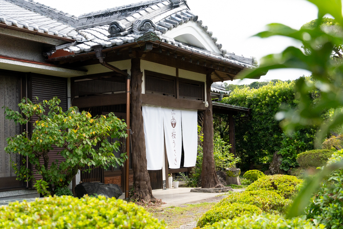 みそcafe 桜うさぎ