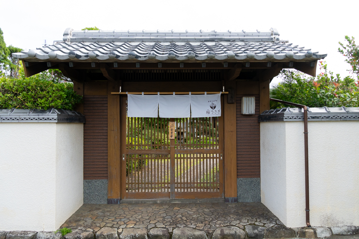 みそcafe 桜うさぎ