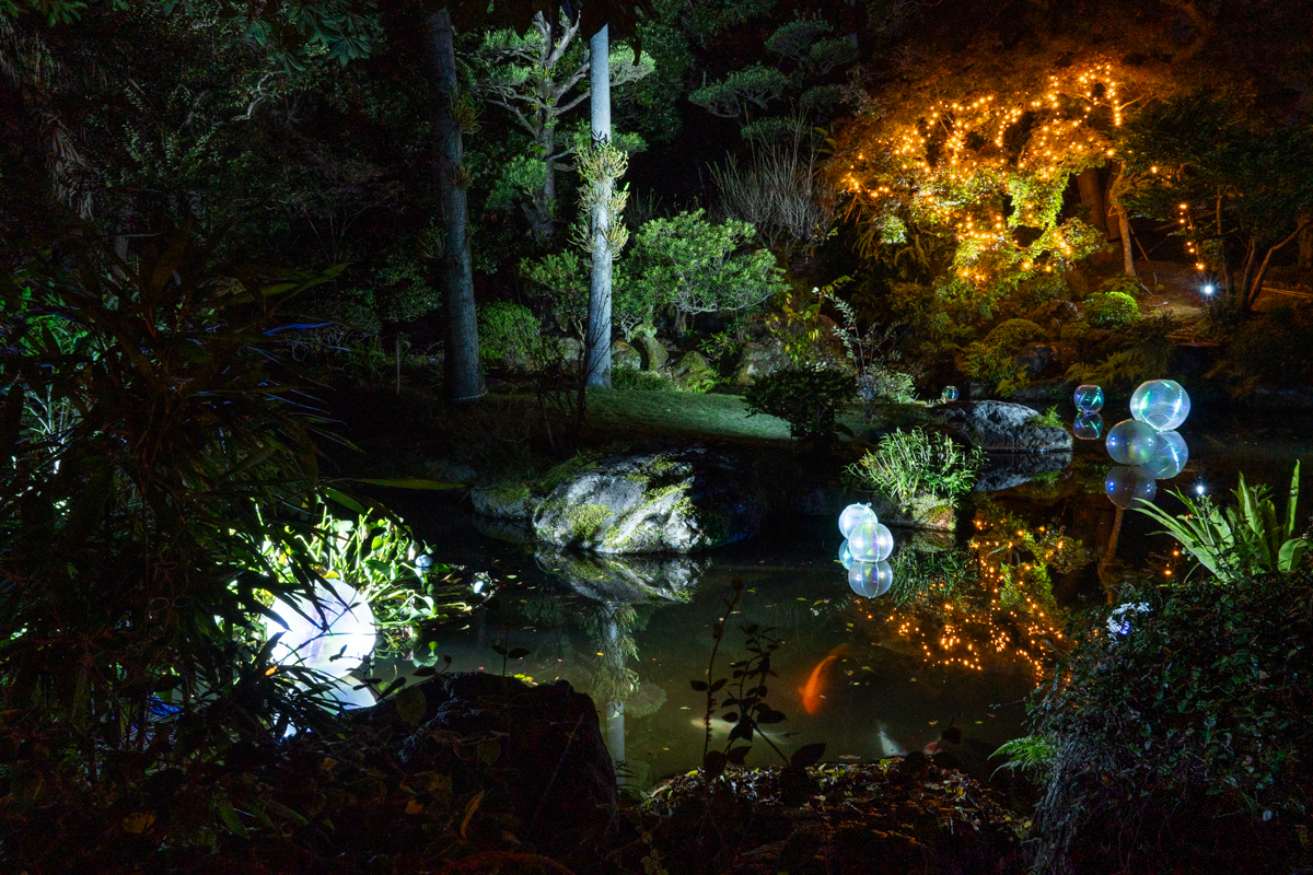 奄美の里 ナイトガーデン2025 画像2