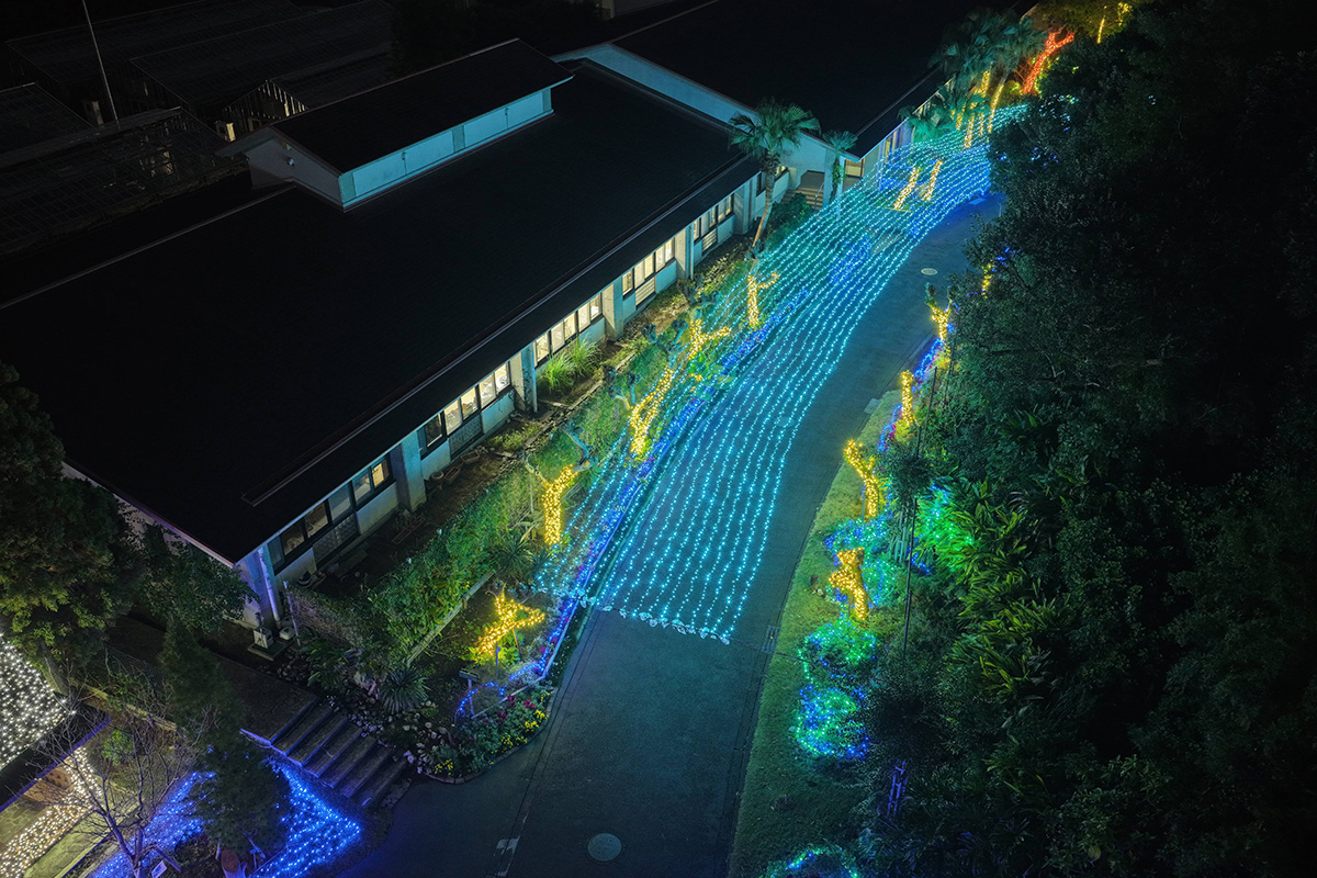 フラワーパークかごしま　ウィンターフェスティバル「フラワーパークイルミネーション2025」 画像3