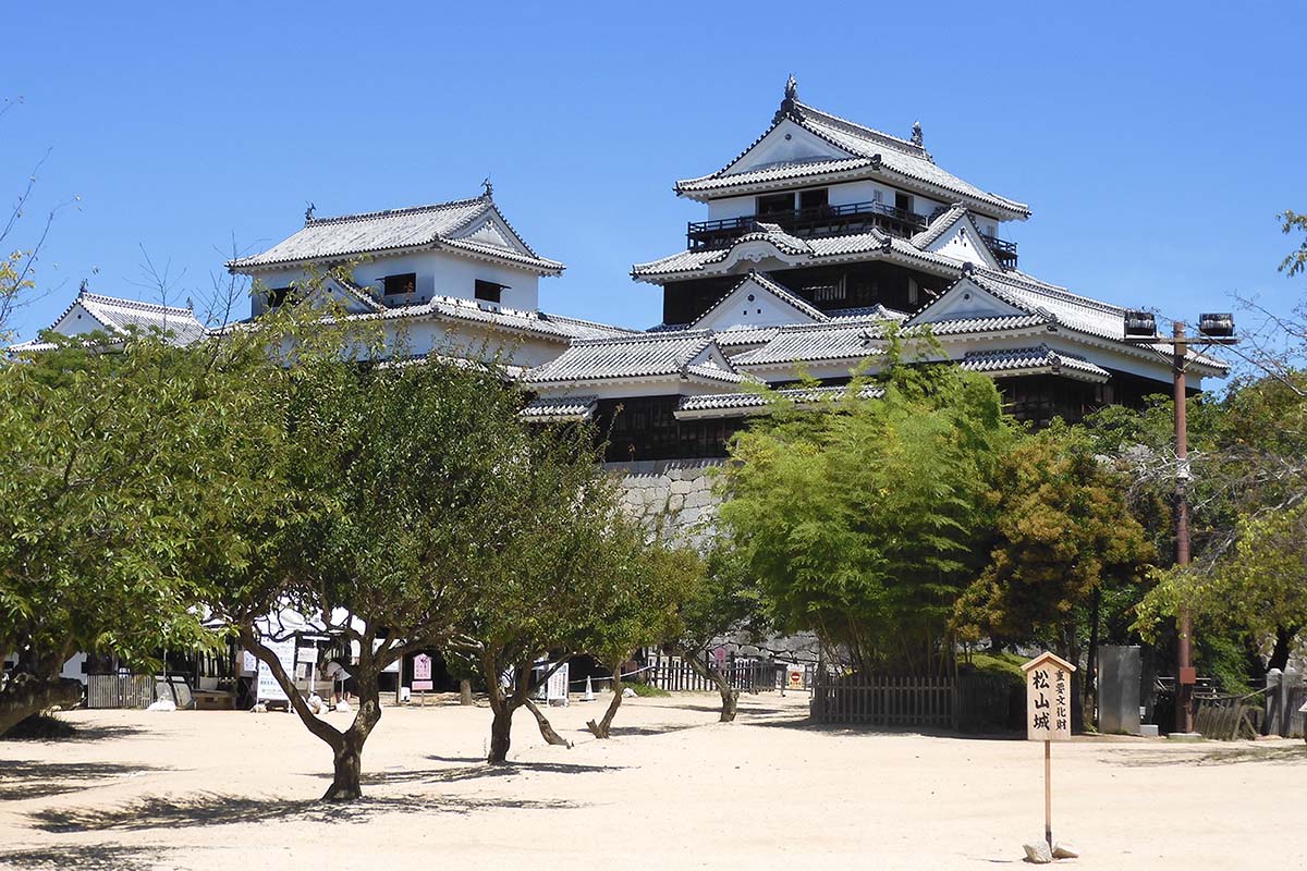 愛媛県・松山-鹿児島線　おトクに飛んでディープに浸る 画像2