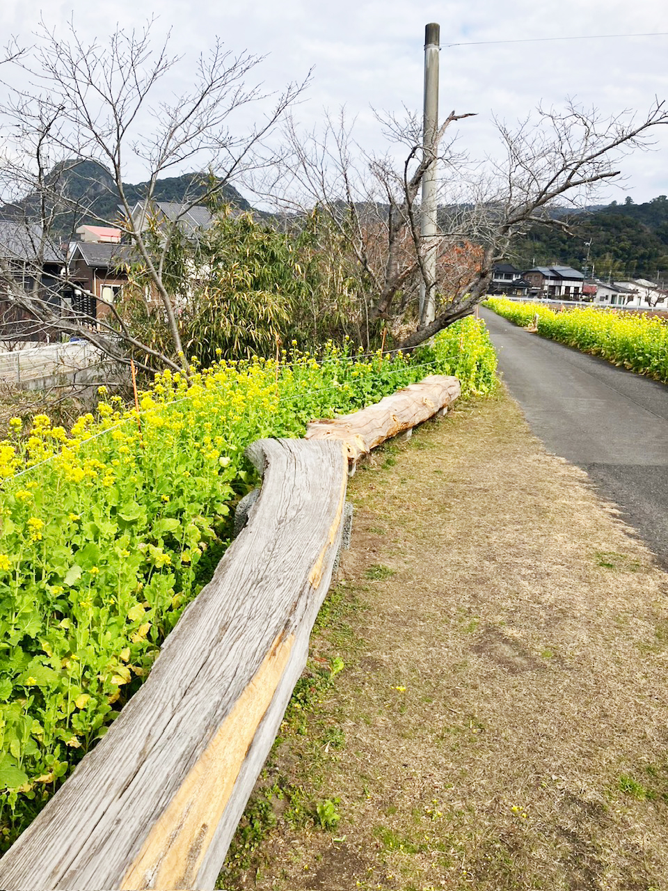 休憩スポットもありますよ〜