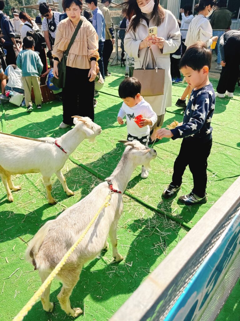家族みんなで、あいらに集まれ〜〜