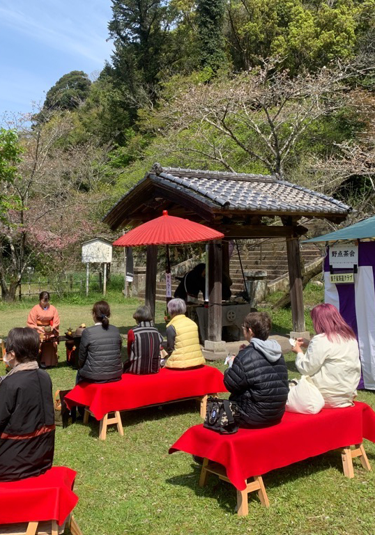 お花見がてら出かけてみて